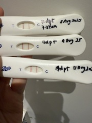 Tests dark but stalling at 11dpt is this normal