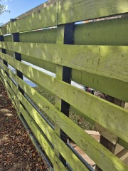 Neighbour painted our fence