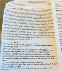 Sharing Sunday services