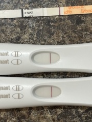 Needing Help