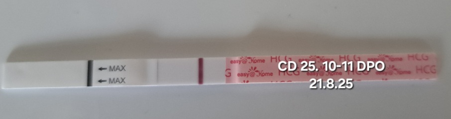TTC TWW August/September 2025