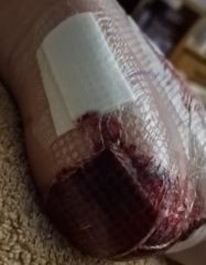 The Bluestocking does a late night flit again