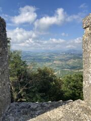 March Starters 2025 Thread 7, where we are now all having advice from Janice, Janice can do one!