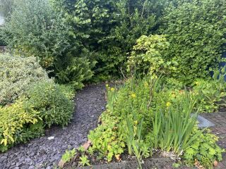 Garden disaaaaaaaaster! I've got no right to take my place with the human race