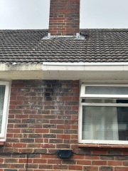 Experienced Reno Eyes on this please