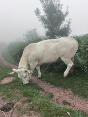 Daily Project round 7