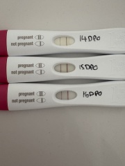 16DPO could this be a chemical?