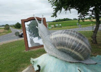 Snails, not slugs…