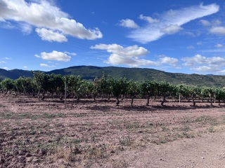 Daily Project round 7