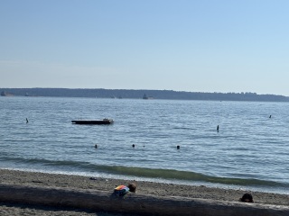 Come and tell us your dull and unexciting news 34: Calmly through the day