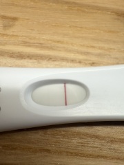 Does it look like a viable pregnancy?