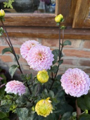 Year round Nigel Slater discussion thread Part 2