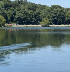 Come and tell us your dull and unexciting news 34: Calmly through the day