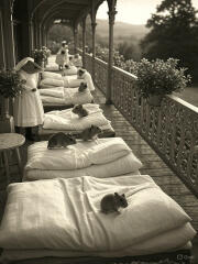 The Bluestocking does a late night flit again