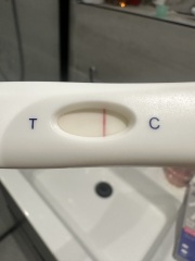 Pregnant or really unlucky evaps?!