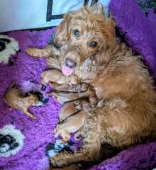 What are you up to today if you have chronic illness?