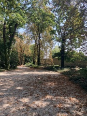 Year round Nigel Slater discussion thread Part 2