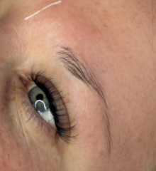 Microblading/combo brows HELP.