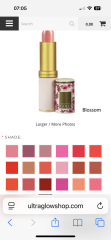 Gorgeous long lasting lipstick?