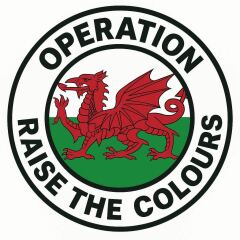 What is going with the flag being painted everywhere?