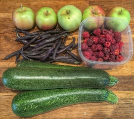 The Vegetable Patch 2024/2025
