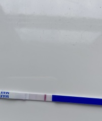 Help! Am I pregnant?! Getting mix of positive and negative tests