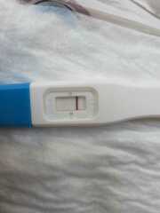 TTC TWW August/September 2025