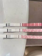 TTC TWW August/September 2025