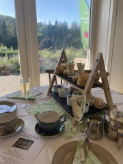 The Great Recovery part 4