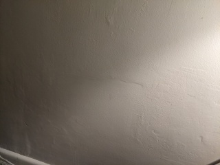 Would walls like this put you off?