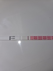 Tww anyone see a line