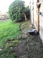 How best to tidy up this area of garden