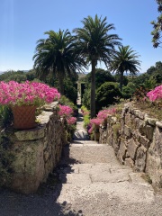 The Great Recovery part 4