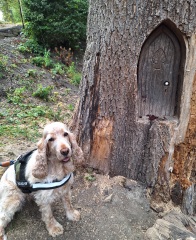 Year round Nigel Slater discussion thread Part 2