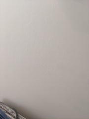 Would walls like this put you off?