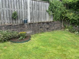 Flower bed advice