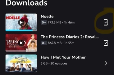 How to download onto laptops for plane viewing (kids)