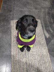 Our Cosmic Autumn Rebellion (Adolescent Support Group)