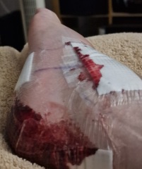 The Bluestocking does a late night flit again