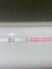 15dpo, pregnant but bleeding. Please help