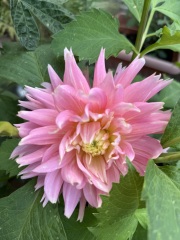 Year round Nigel Slater discussion thread Part 2