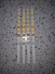 Urine testers