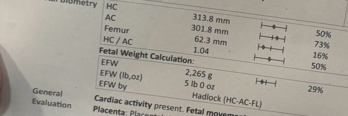 Femur length