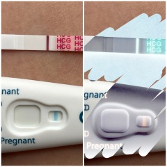 Pregnany or Evap?