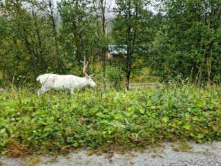 Year round Nigel Slater discussion thread Part 2