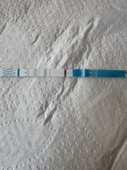 Miscarriage or chemical? Please can someone advise?