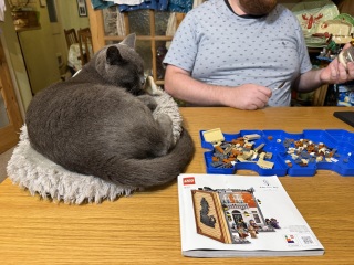Chicken, Dreamies and Lickelix - the Excellent Cats form a disorderly queue