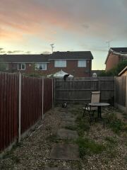 Pampered, Persian, Princess Penelope