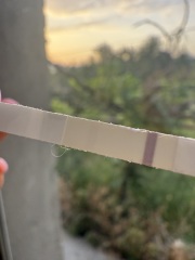 Ask us anything about funded childcare - eligibility, applying, and what to expect  £100 voucher to be won!