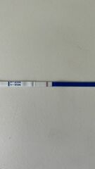 Faint bfp 10/11 dpo